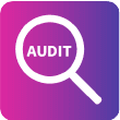 Vulnerability Auditing and Remediation