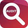 audit audit